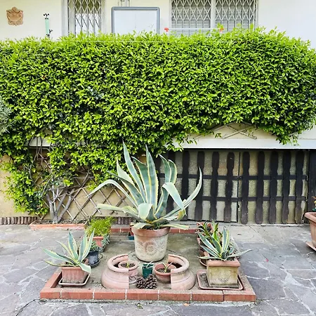 Casa del Riccio-3